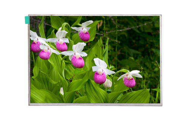 lcd液晶屏幕的維護(hù)保養(yǎng)該如何做?【海飛智顯】-lcd液晶顯示屏廠家 lcd液晶屏幕的維護(hù)保養(yǎng)該如何做?【海飛智顯】-lcd液晶顯示屏廠家