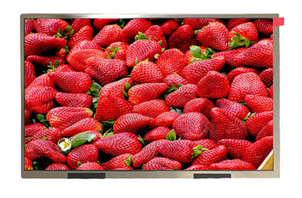 10.1寸LCD顯示屏 10.1寸LCD顯示屏