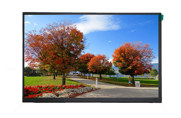 10.1寸LCD顯示屏  10.1寸LCD顯示屏